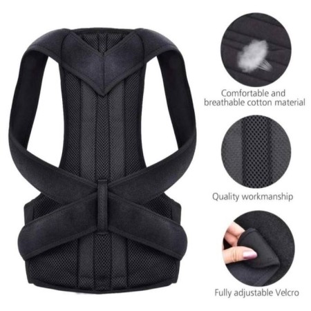 Back Support Belt